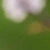 🤩