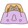😻