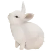 🐰