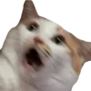 😱