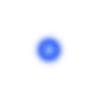 🔹