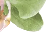💚