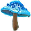 🍄