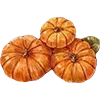 🍁