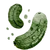 🥒