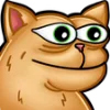 🐱