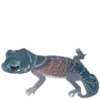 🦎