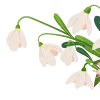 🌸