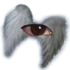 👁