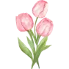 🌷