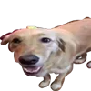 🙂