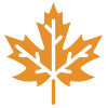 🍁