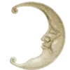 🌜