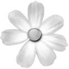 🌼