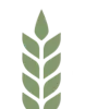 🌿