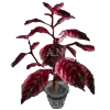🈴