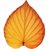 🍁