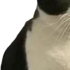 🫥