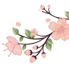 🌸
