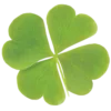 🍀