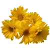 💐