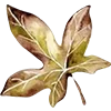 🍁