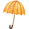 🍁