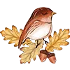🍁
