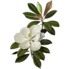 💐