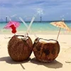 🥥