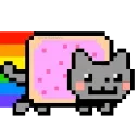 🐱