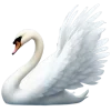 🦢