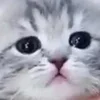 😕