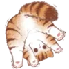 🐱