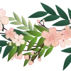 🌸