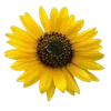 💐