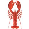 🦞