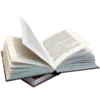 📖