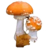 🍄