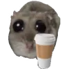 ☕️