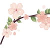 🌸