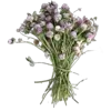💐