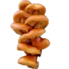 🍄