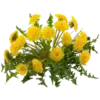 ⭐