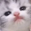 😛