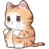 🐱