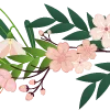 🌸