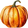 🍁
