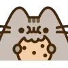 🍪