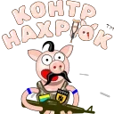 🐷